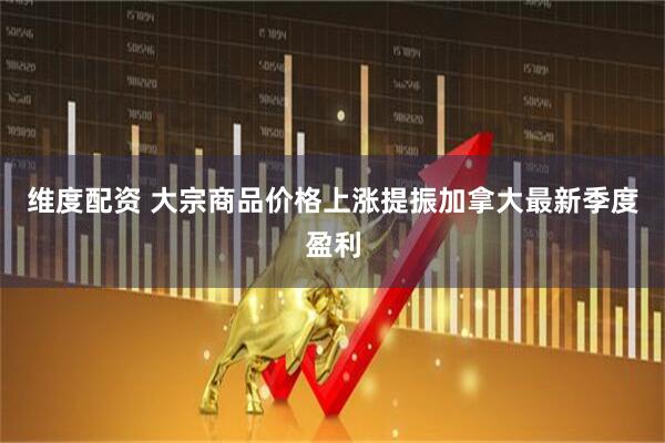 维度配资 大宗商品价格上涨提振加拿大最新季度盈利